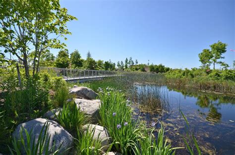 Corktown Common Toronto