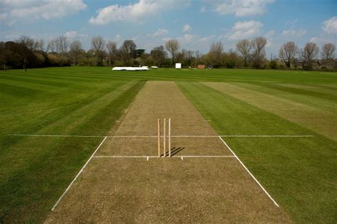 Coronation Cricket Pitch