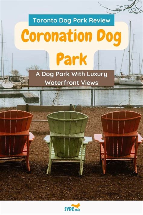 Coronation Dog Park Review A Dog Park With Luxury Waterfront Views