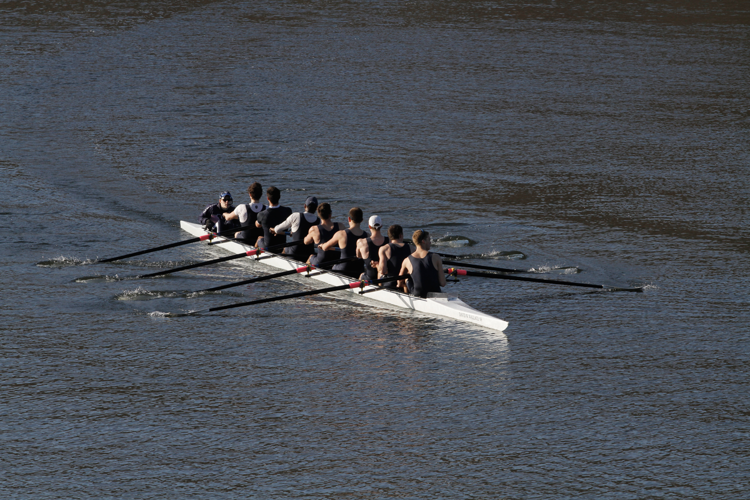 Crew Elis Race To Housatonic Success Yale Daily News