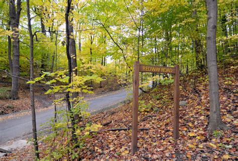 Crothers Woods Guide: Trails Explored