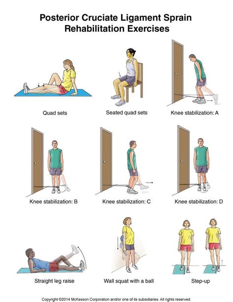 Cruciate Ligament Injury Exercises