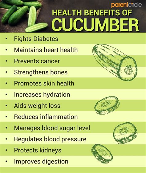 Cucumber Nutrition Facts And Health Benefits