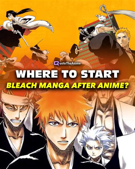 D Couvrir 59 Imagen Bleach Manga Arcs Fr Thptnganamst Edu Vn