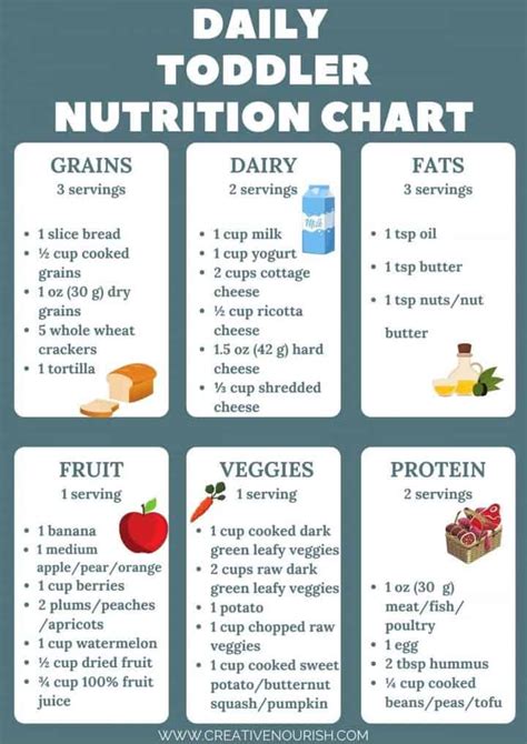 Daily Toddler Nutrition Guide Printable Chart