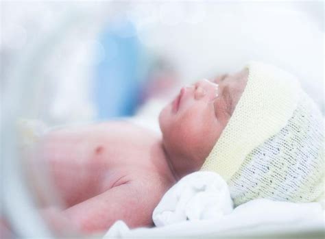 Dangerous Infections In Preemie Babies May Begin In The Gut Consumer