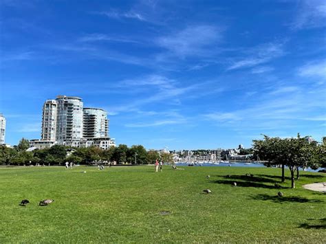 David Lam Park: Explore Vancouver's Hidden Gem