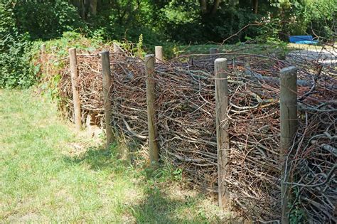 Dead Hedge Fence