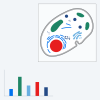 Deconvolution Toolkit Zeiss