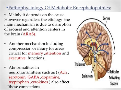 Define Metabolic Encephalopathy