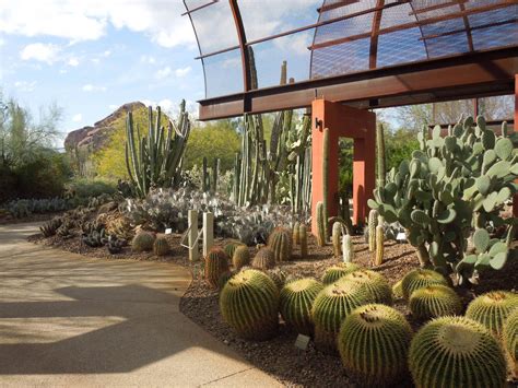 Desert Botanical Garden Phoenix Central Arizona Traveldigg Com