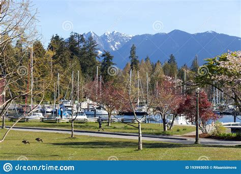 Devonian Harbour Park In Vancouver At Sunny Day Stock Image Image Of