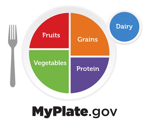 Dietary Guidelines Myplate Food Guide Where Avocados Fit In