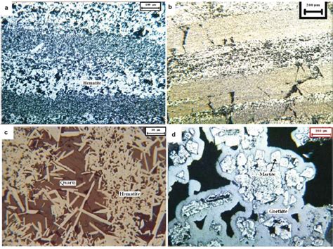 Dietary Iron Under Microscope