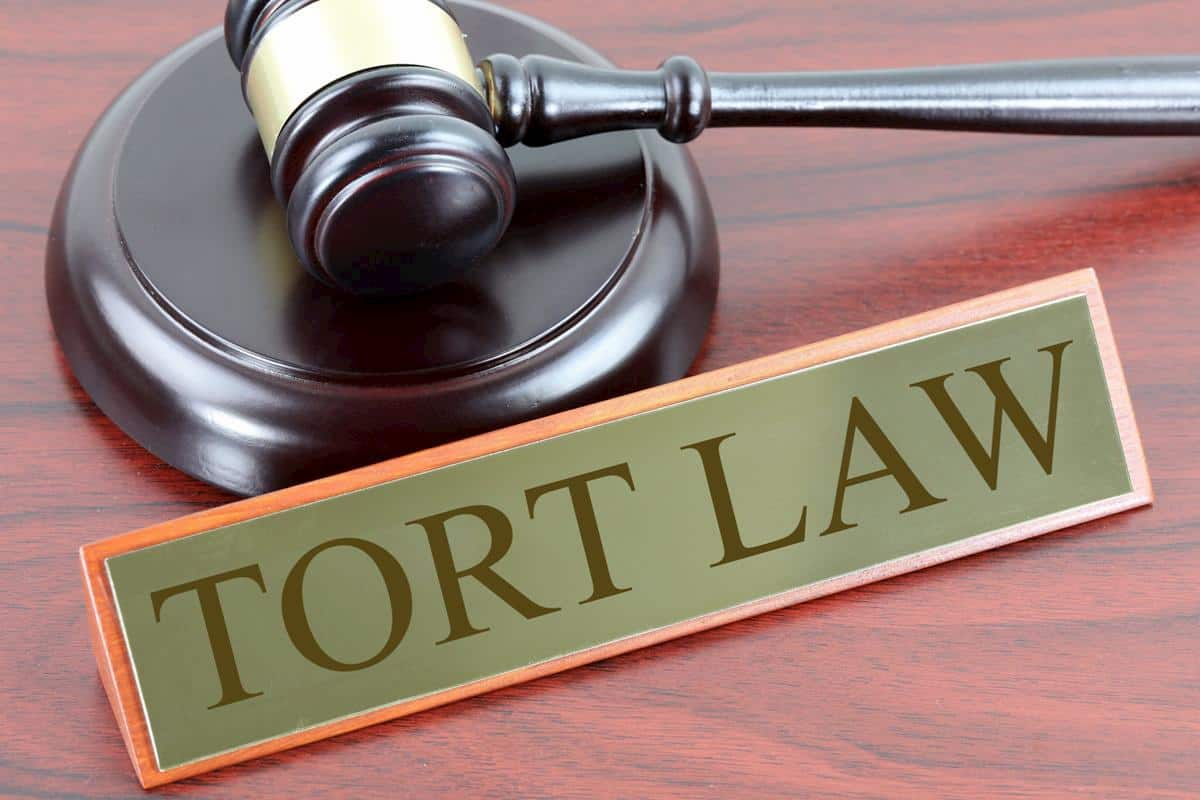 Difference Between Intentional Tort And Negligence Halt Org