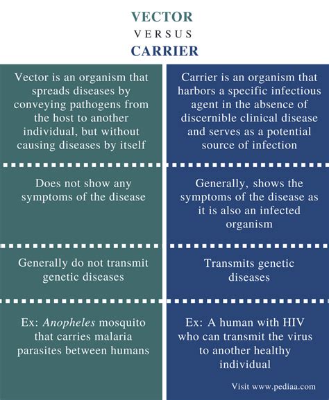 Difference Between Vector And Carrier Definition Facts Types