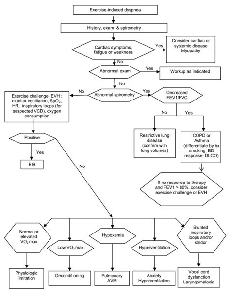 Differential Diagnosis Algorithm For Exercise Induced Dyspnea