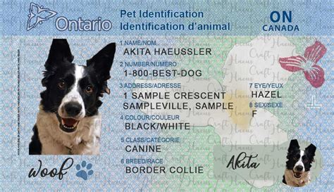 Digital File Ontario Pet Identification Driver S Etsy