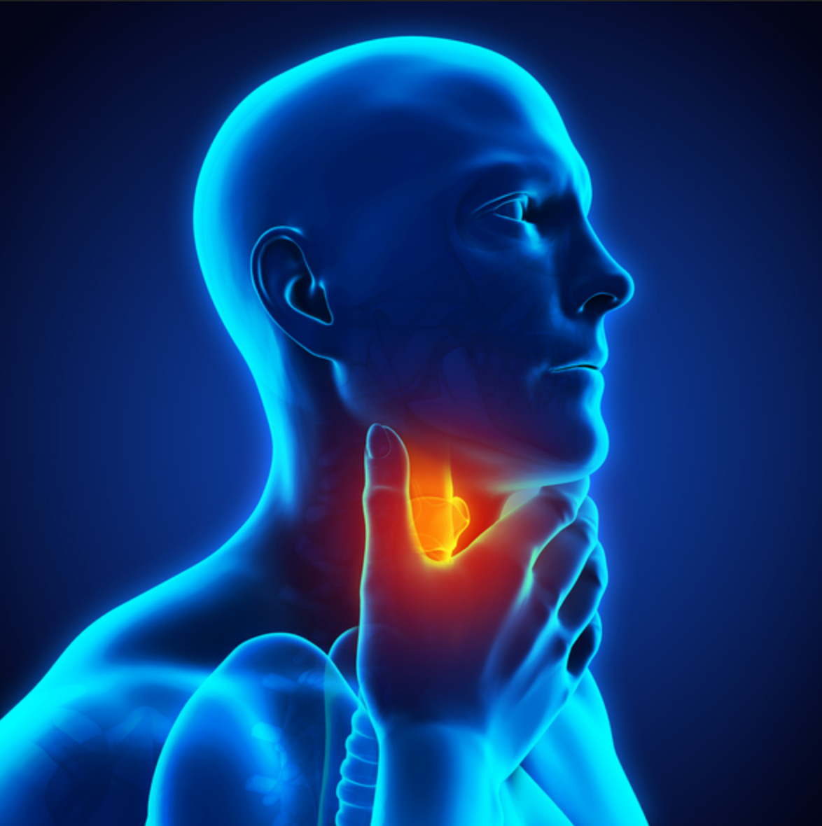 Dilation Of Oesophagus: Relieves Swallowing Difficulties