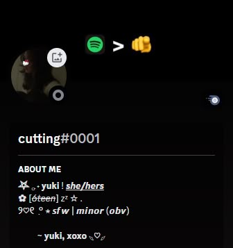 Discord Bio Ideas About Me