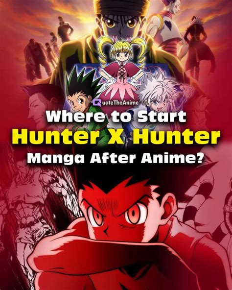 Discover 80 Hunter Hunter Manga After Anime Latest In Cdgdbentre