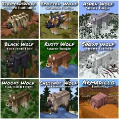 Discover The Different Minecraft Wolf Breeds