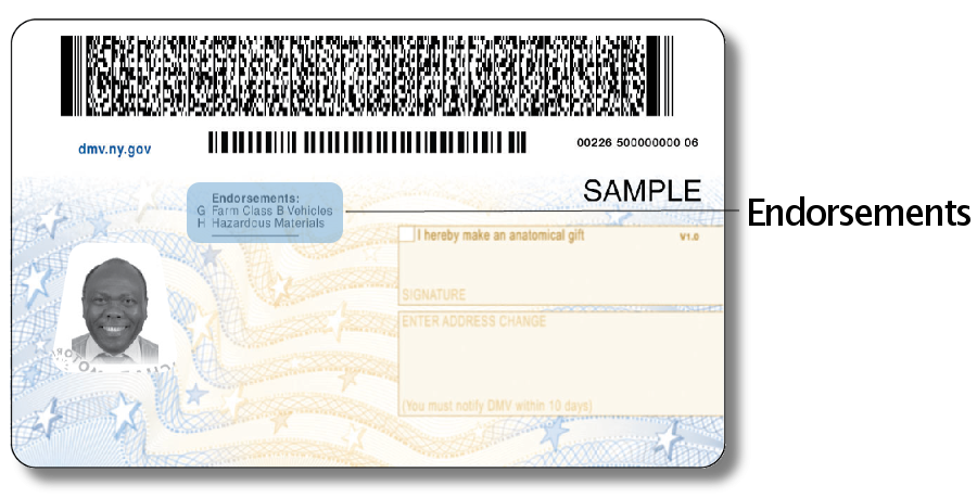 Document Number On Drivers License California Corepig