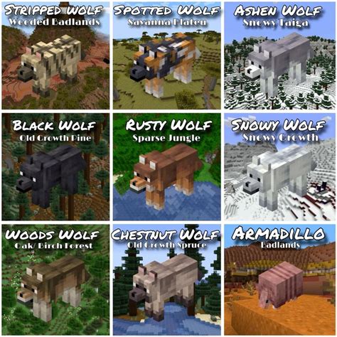 Dog Biomes Guide: Explore Minecraft