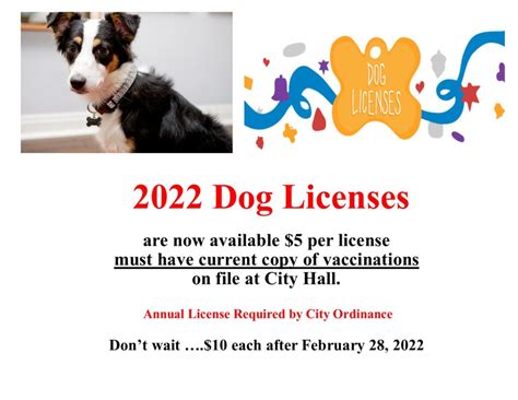 Dog Licenses Fonda