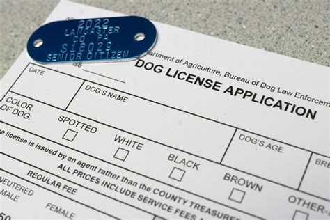 Dog Licensing