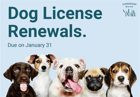 Dog Registration Toronto