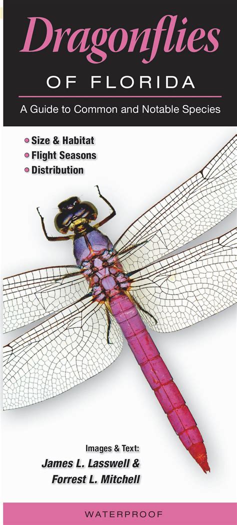 Dragonflies Of Florida Quick Reference Publishing Retail