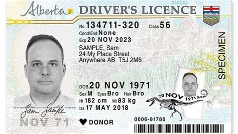 Driver License Alberta