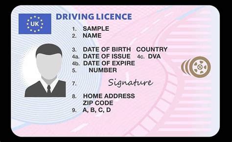 Driver License Guide: Check Status Online Now