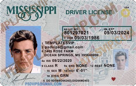 Driver S License Templates Templates Drivers Licenses Premium