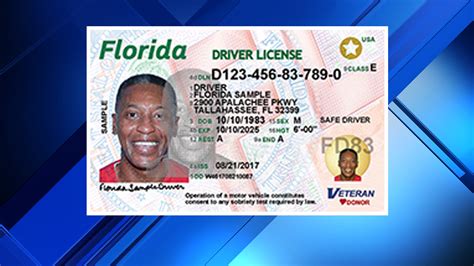 Drivers License Lookup Made Easy