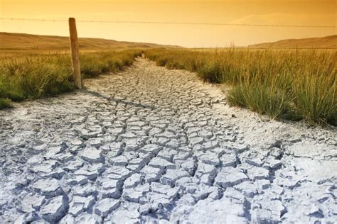 Drought Alberta Ca