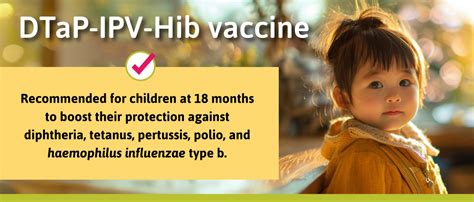 Dtap Ipv Hib Vaccine: Safeguards Against Diseases