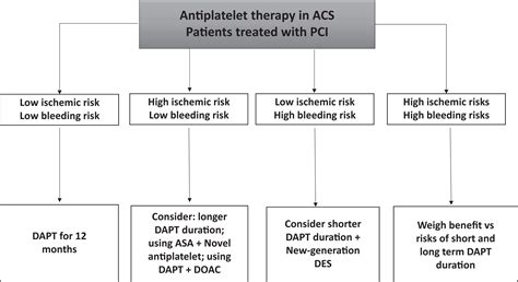 Dual Antiplatelet Therapy After Stent Guidelines