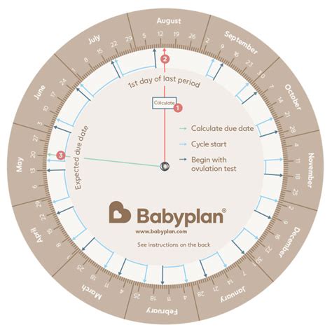 Due Date Calculator Guide