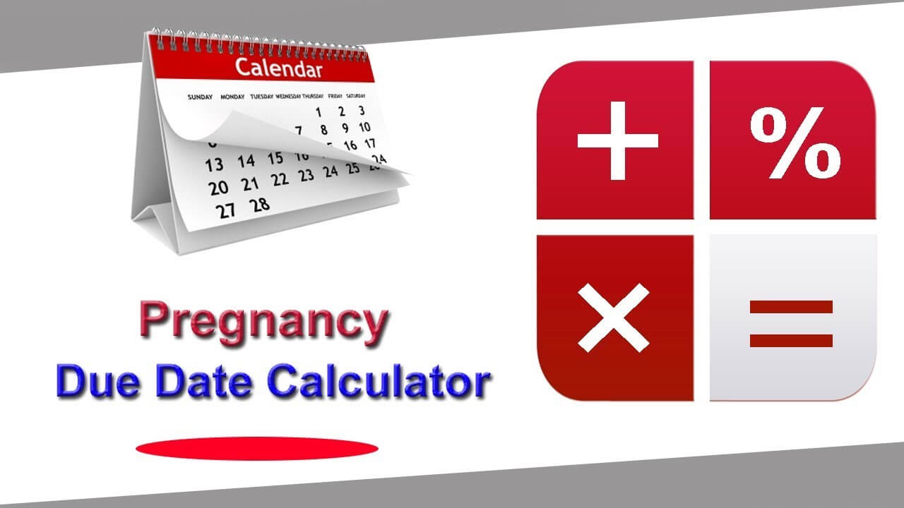 Due Date Calculator Tool