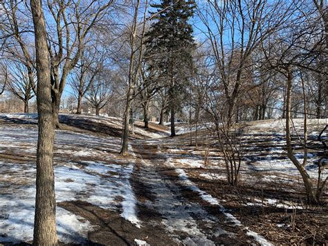 Dufferin Grove Park: Explore Local Trails