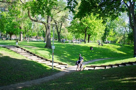 Dufferin Grove Park Is Toronto S Other Hotspot For Summer Fun Grove