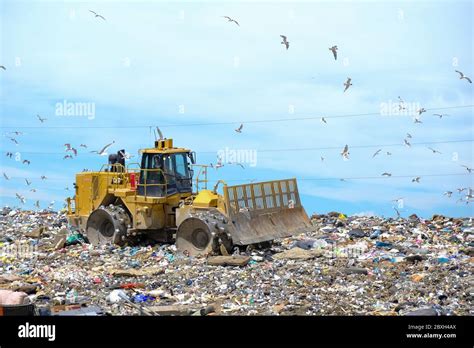 Dump Calgary Hours