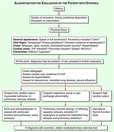 Dyspnea Algorithm Respiratory Nursing School Breath Sounds Family