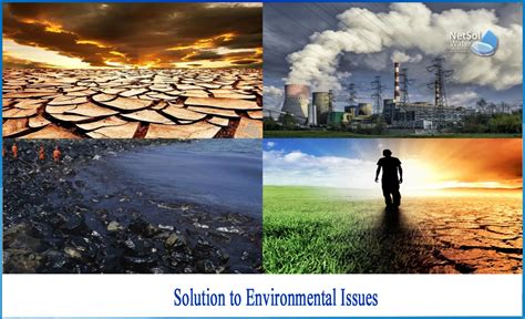 Ecosystem Trace: Solve Environmental Issues