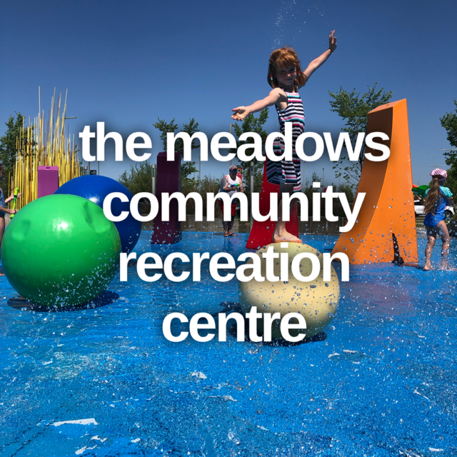 How Busy Is Meadows Recreation Center Edmonton? Plan Visit - Black Atlantic