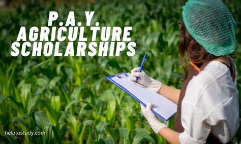 Educational Policy Review: Comprehensive Analysis Of Agricultural Scholarship Changes