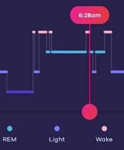 Eeg Tracker Rem Sleep R Narcolepsy