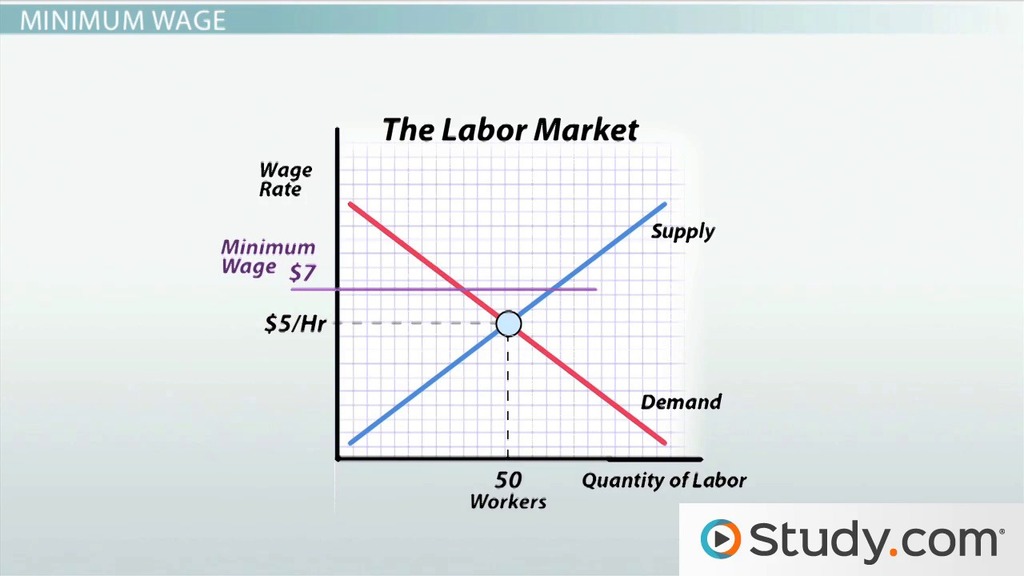 Effect Of Minimum Wage On Unemployment Graphs Jobs Lesson Study Com